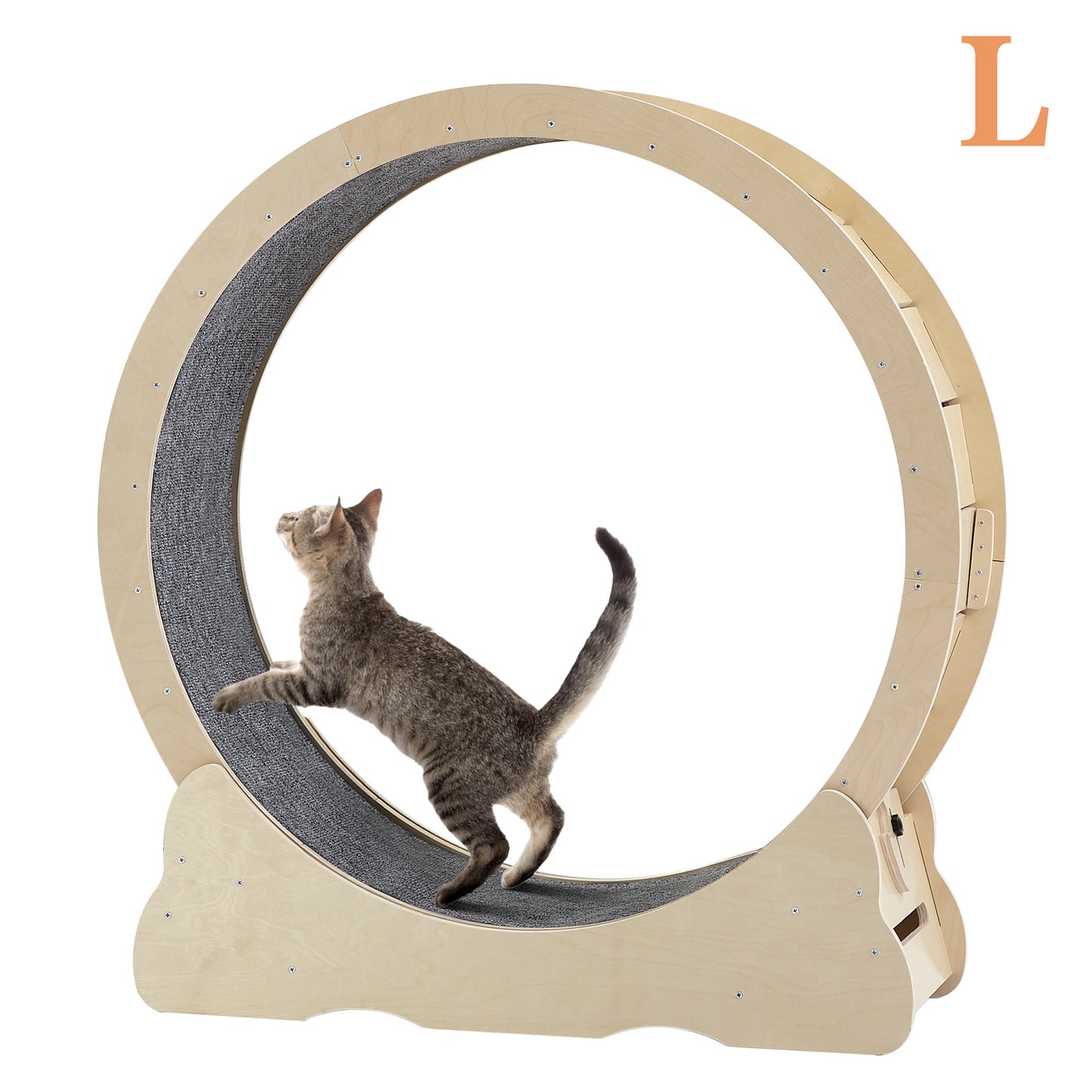 Cat Exercise Wheels - Indoor Cat Treadmill