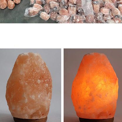 Himalayan Salt Lamp Cord with Gear Switch