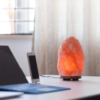 Hand Carved Natural Himalayan Salt lamp