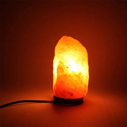 Himalayan Salt Lamp Cord with Gear Switch