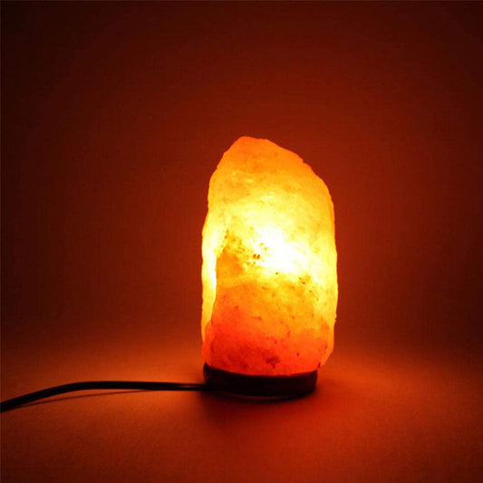 Himalayan Salt Lamp Cord with Gear Switch