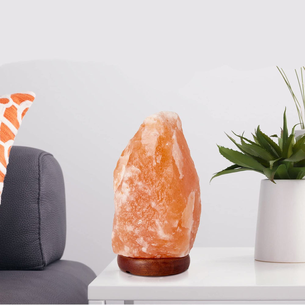 Himalayan Salt Lamp with Dimmer Switch