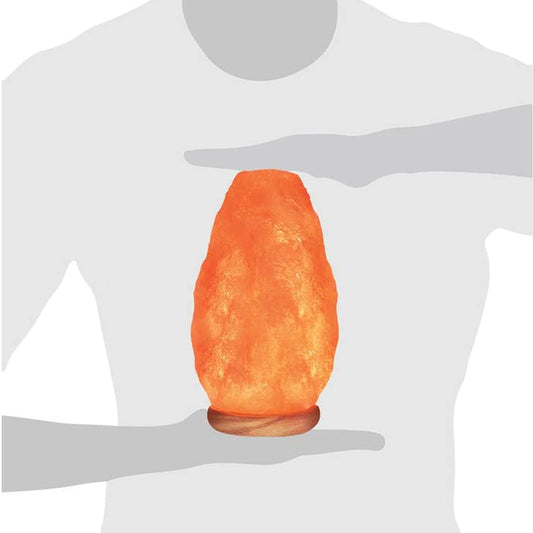 Hand Carved Natural Himalayan Salt lamp