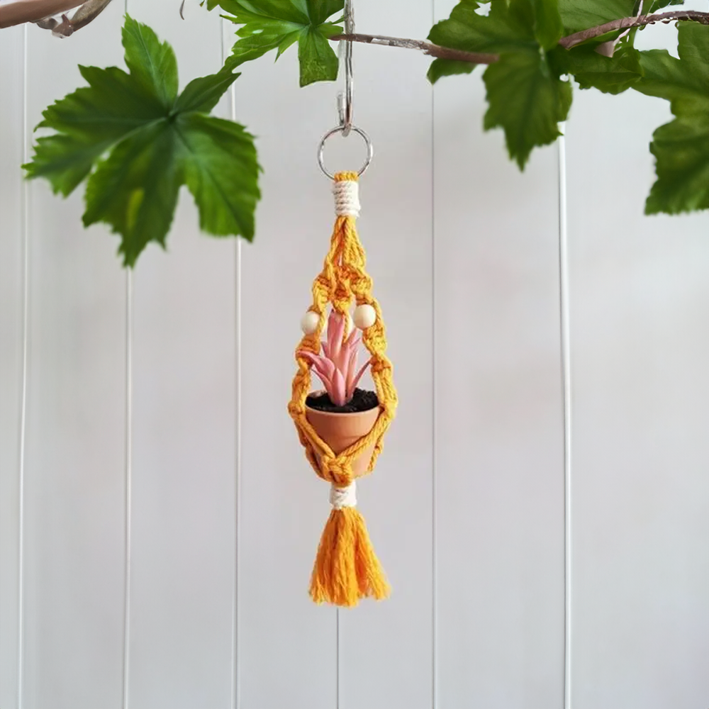 Macrame Car Plant Hanger