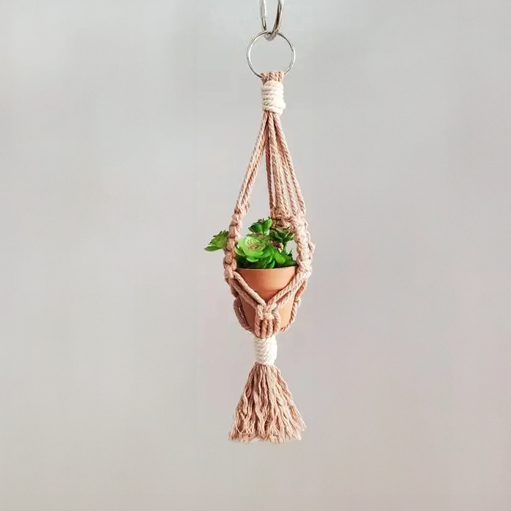 Macrame Car Plant Hanger