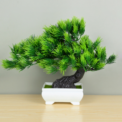 Ornamental Bonsai Tree