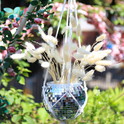 Discoball Planter