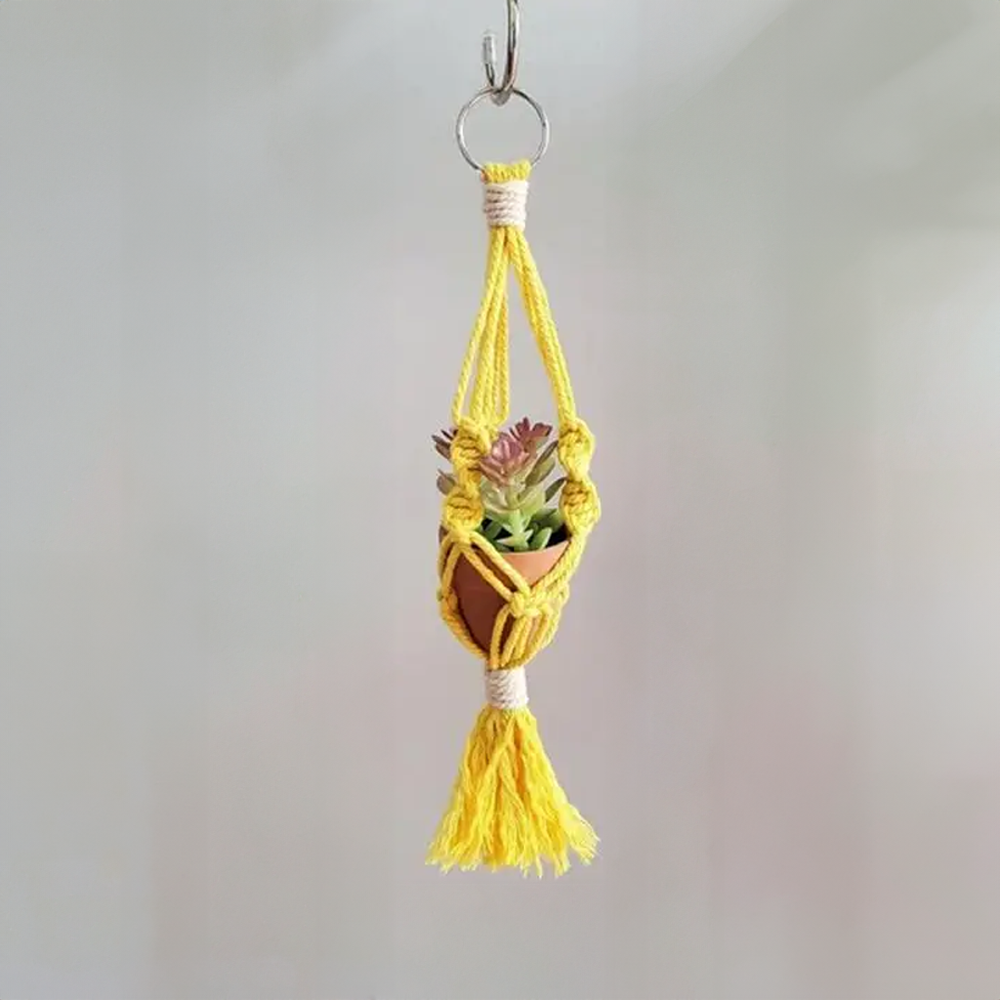 Macrame Car Plant Hanger