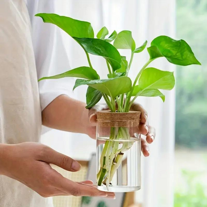 Glass Vase Planter