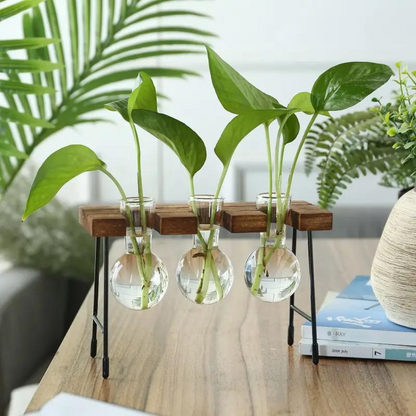 Hydroponic Glass Planter