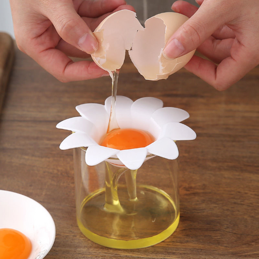 Egg Yolk Separator