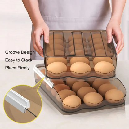 Egg Organizer