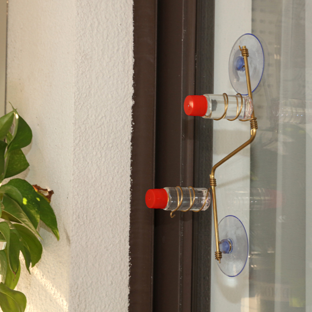 Window Hummingbird Feeder