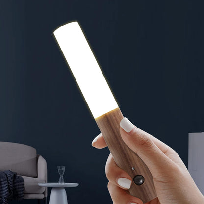 Modern Torch Motion Light