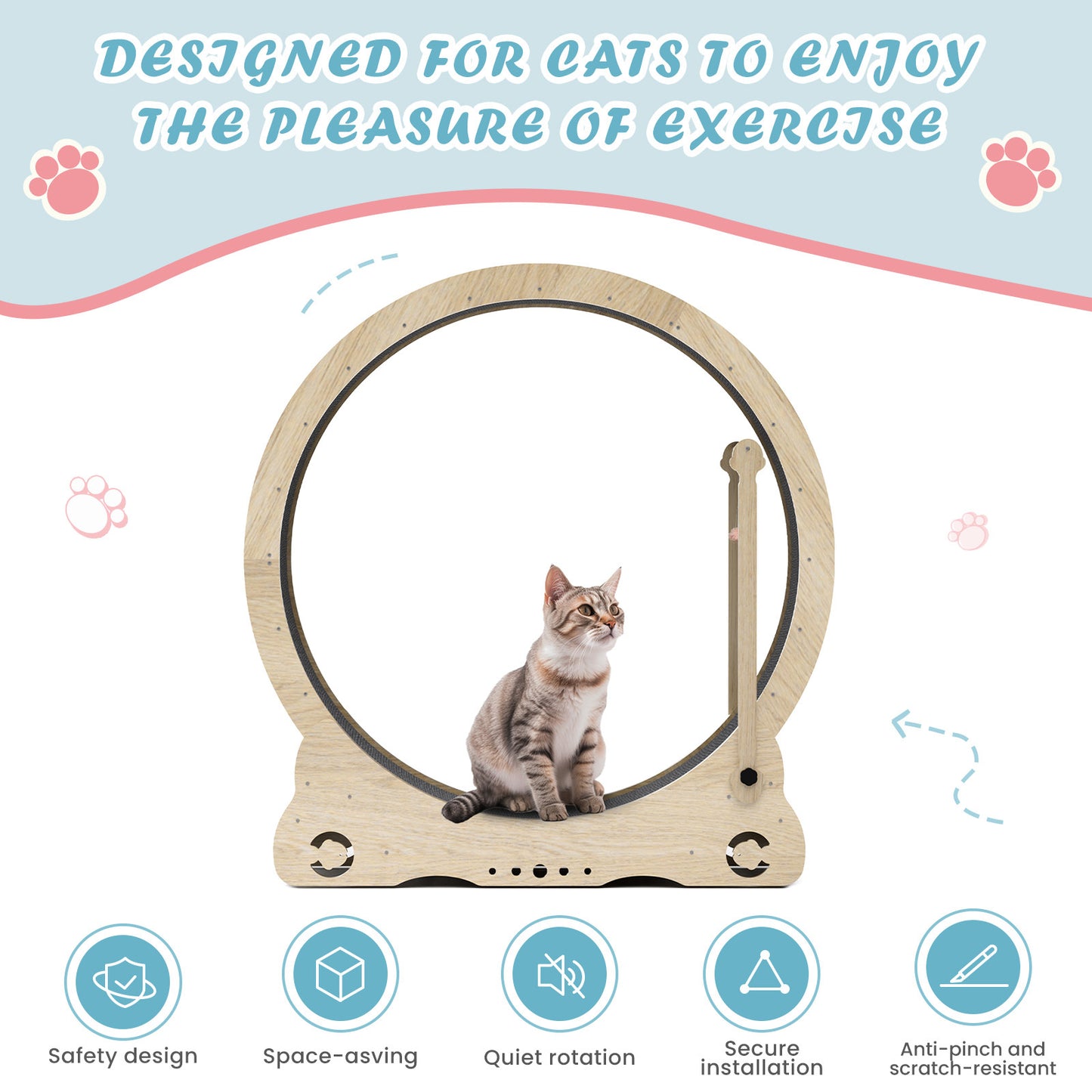 Cat Exercise Wheels - Indoor Cat Treadmill