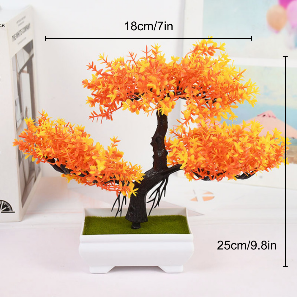 Ornamental Bonsai Tree