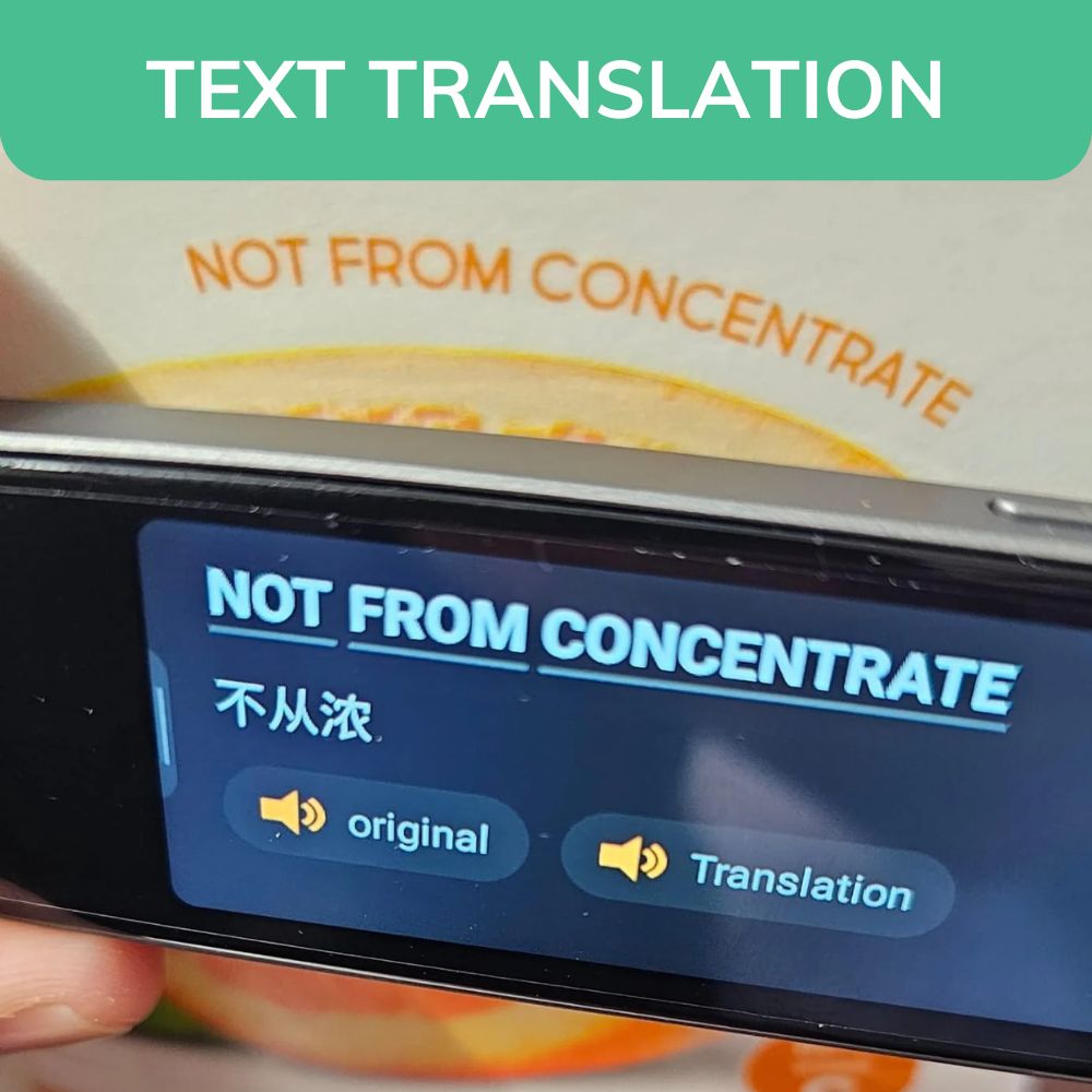 AI-Powered Translation Device