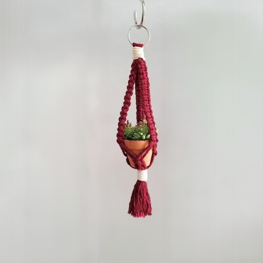 Macrame Car Plant Hanger