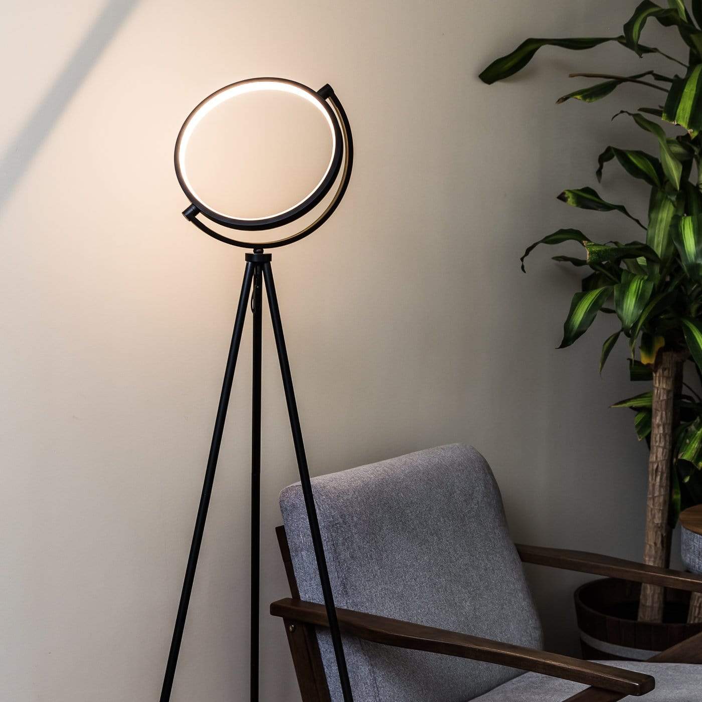 Halo Floor Lamp