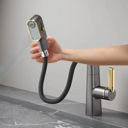 Digital 360 Faucet