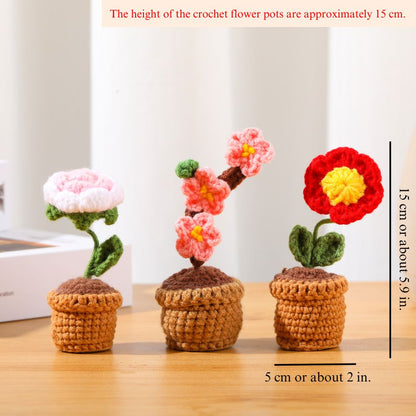 Crochet Flower Pot