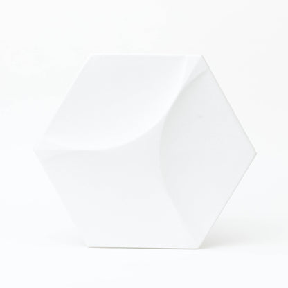 Cubed Hexagon 3D Wall Panel