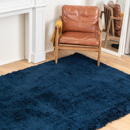 Articture Premium Shag Rug