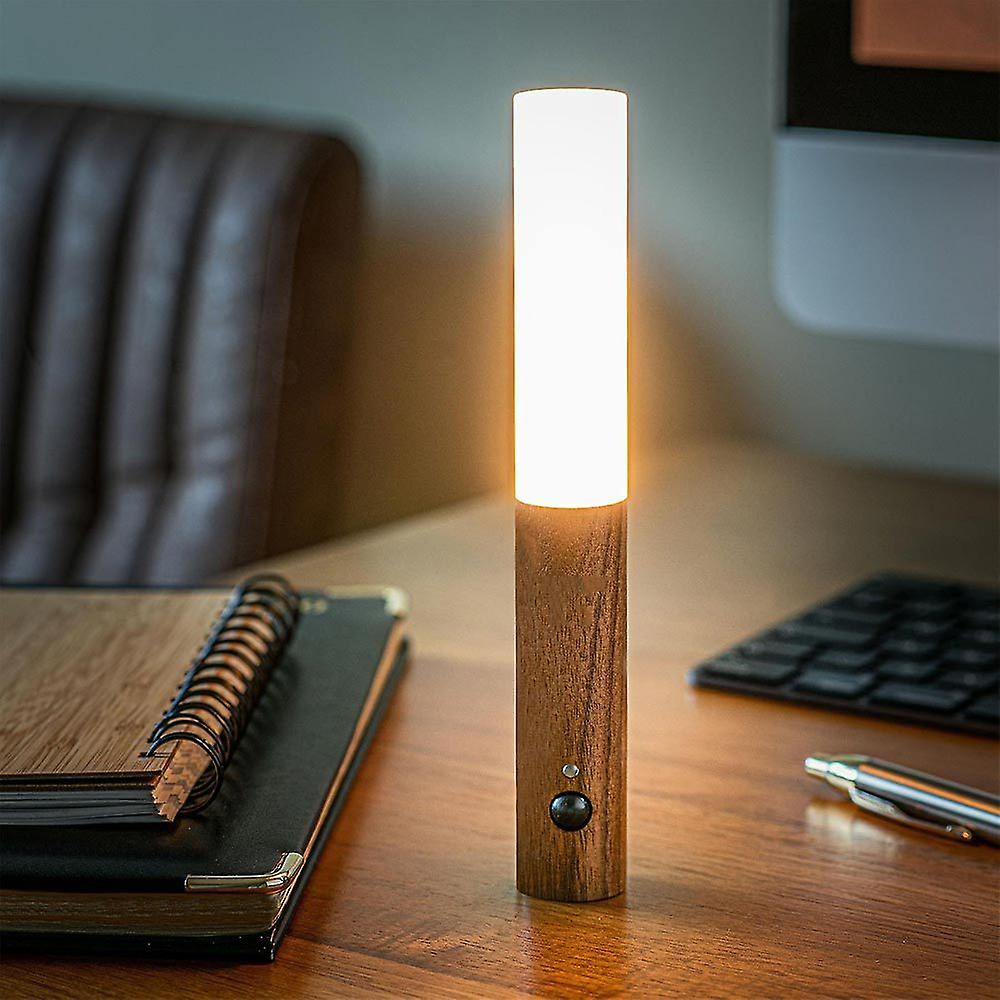 Modern Torch Motion Light