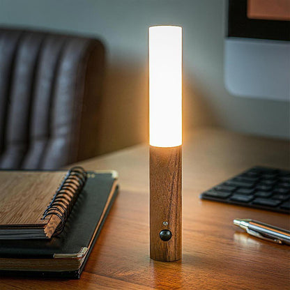 Modern Torch Motion Light