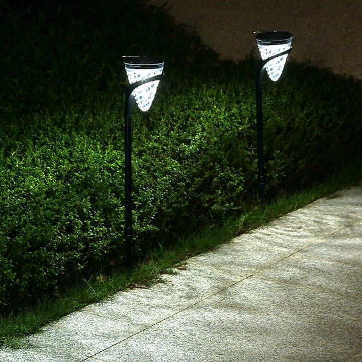 Cone Pathway Light