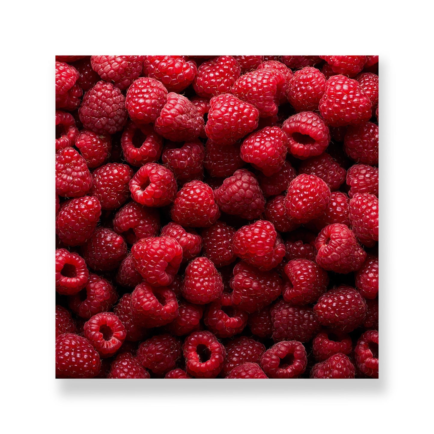 Still Life Raspberry Fruit Art