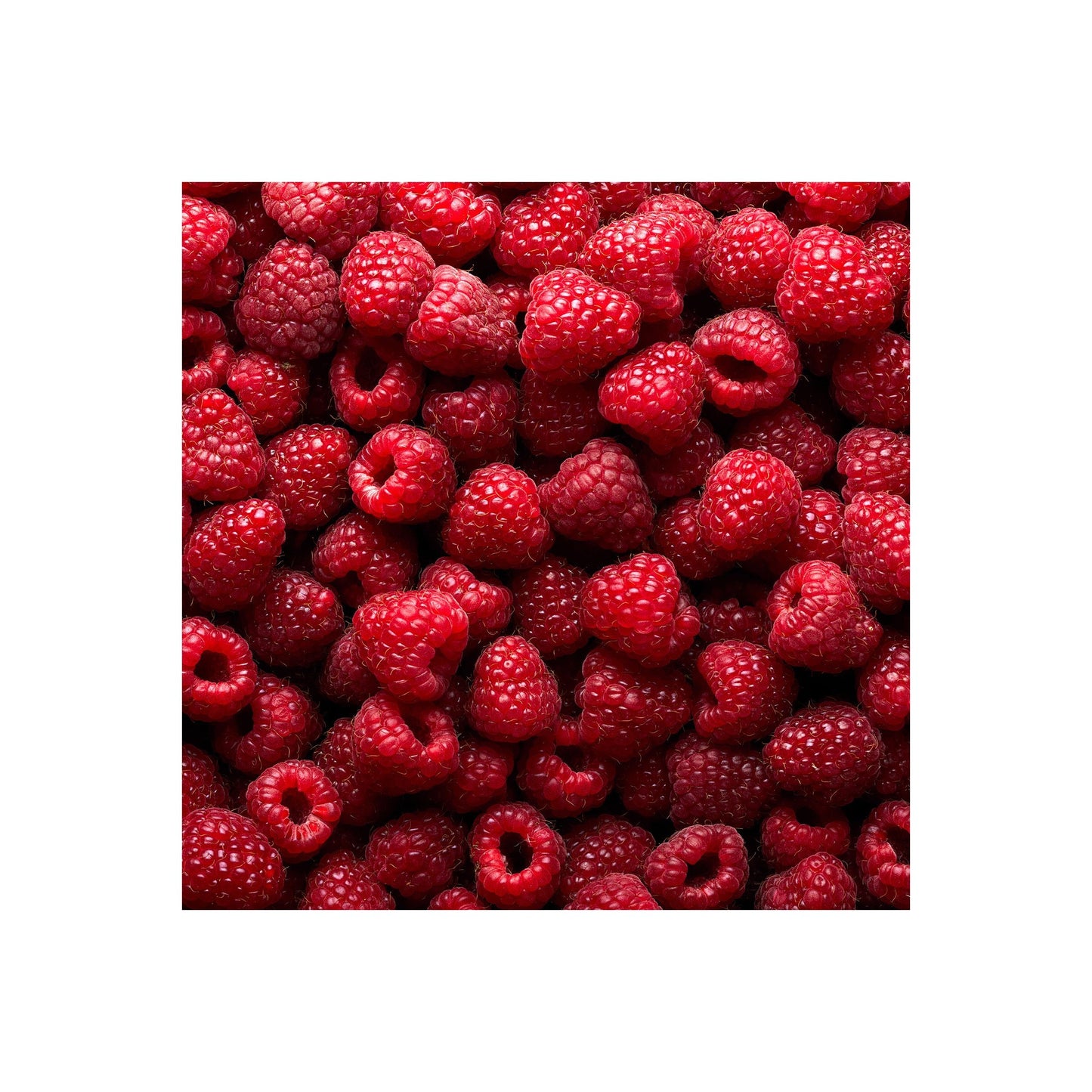 Still Life Raspberry Fruit Art