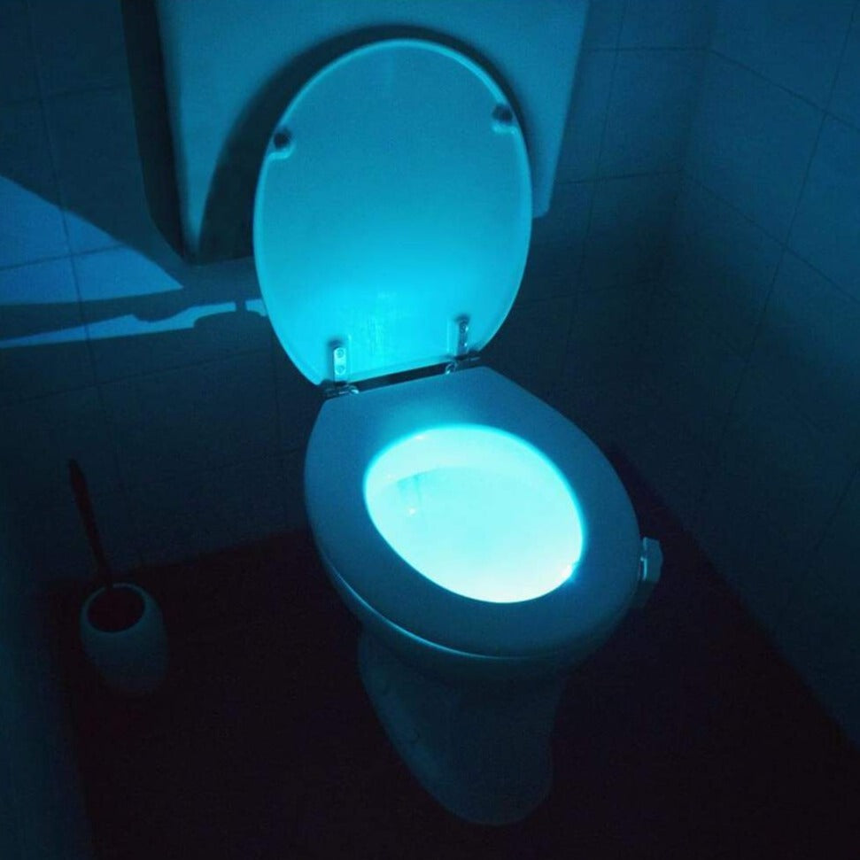 Toilet Night Light