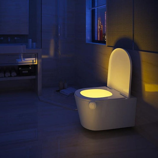 Toilet Night Light