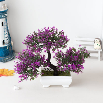 Ornamental Bonsai Tree