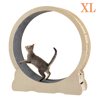 Cat Exercise Wheels - Indoor Cat Treadmill