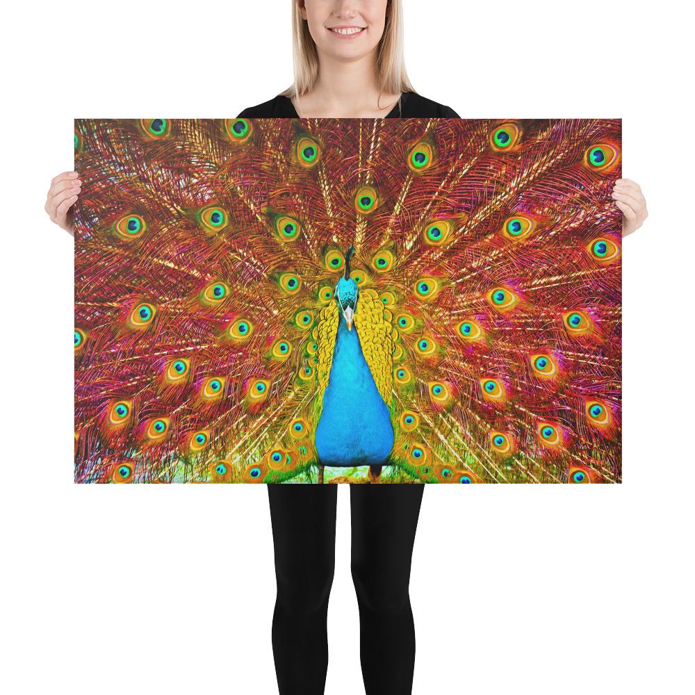 Power Of the Peacock | Vibrant HD Canvas