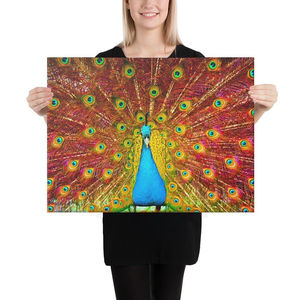 Power Of the Peacock | Vibrant HD Canvas